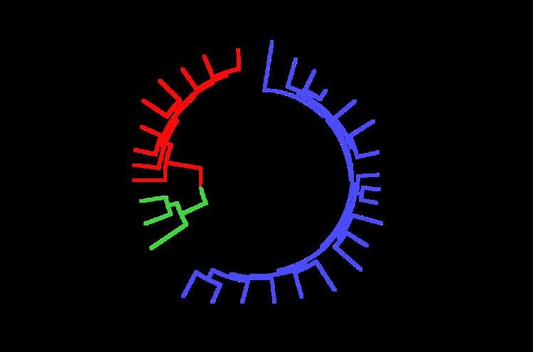 Genetic diversity