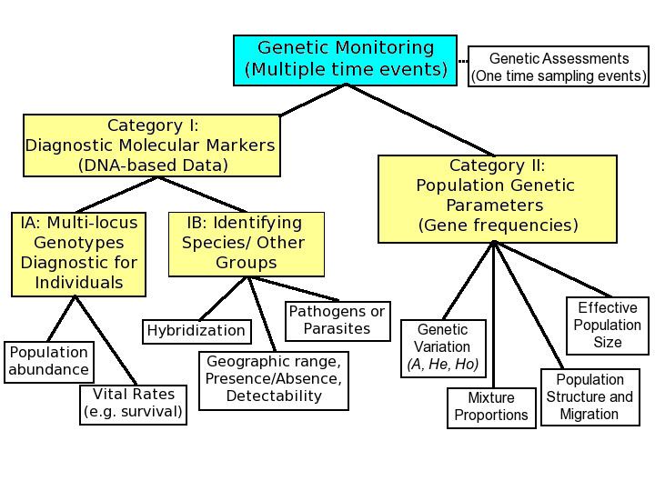Genetic monitoring
