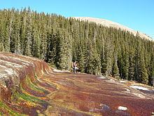 Geneva Creek (Colorado) httpsuploadwikimediaorgwikipediacommonsthu