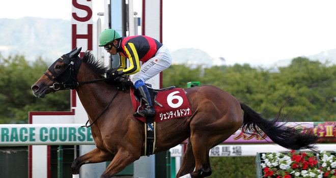 Gentildonna Racing Japanese turf legend Gentildonna bows out in style The
