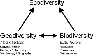 Geodiversity Biodiversity mapping BIOMAPS Project Bonn