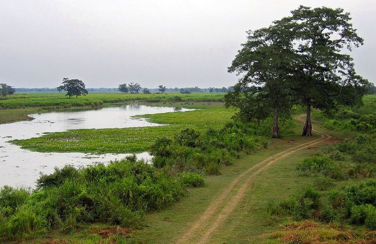Geography of Kaziranga National Park