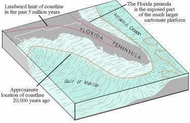 Geology of Florida