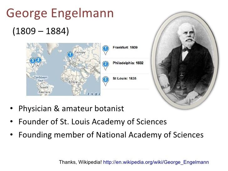 George Engelmann Digitizing Engelmanns Legacy