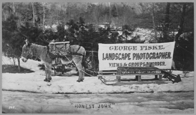 George Fiske Honest John mule and wagon of photographer George Fiske