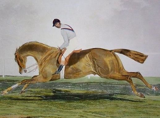 George Frederick (horse)