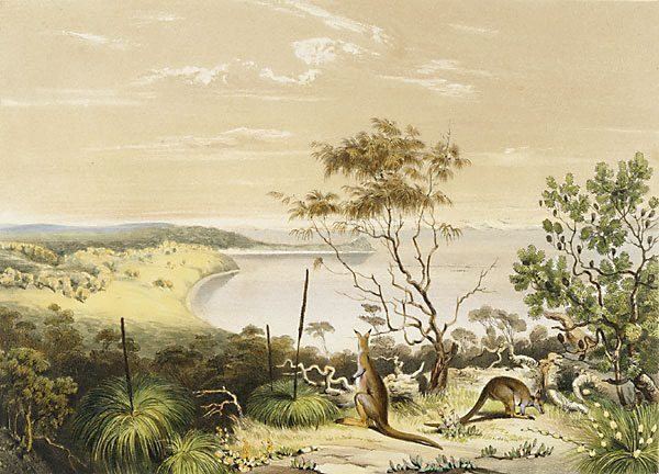 George French Angas Scene on the Coorung near Lake Albert with the