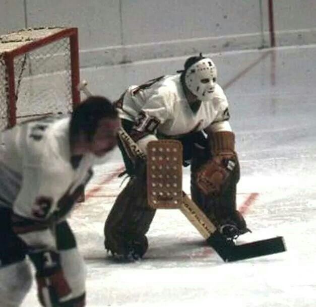 George Gardner (ice hockey) George Gardner 197274 wha goalies Pinterest Hockey