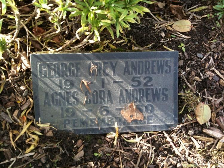 George Grey Andrews Grave Site of George Grey Andrews BillionGraves
