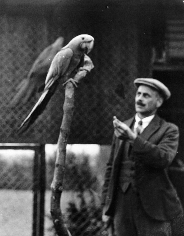 George Mottershead George Mottershead and a blue macaw Our Zoo The