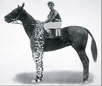 George Smith (horse) httpsuploadwikimediaorgwikipediaenthumba