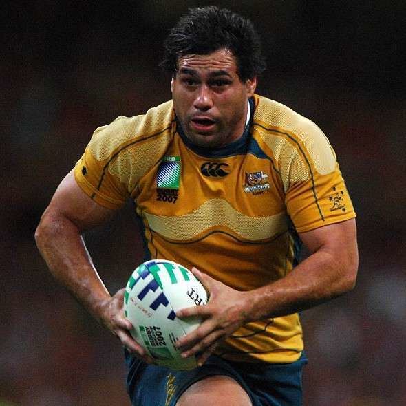 George Smith (rugby union) Wallabies call up trio Rugby Union Sport Daily Express