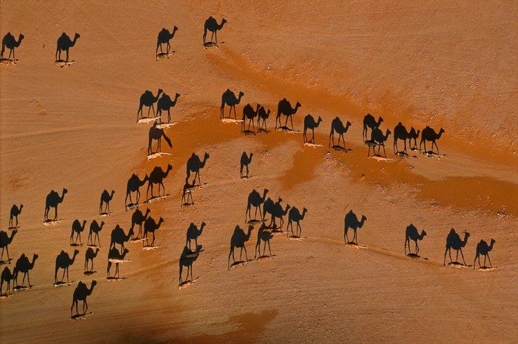 George Steinmetz George Steinmetz39s Aerial Photos of Deserts Around the