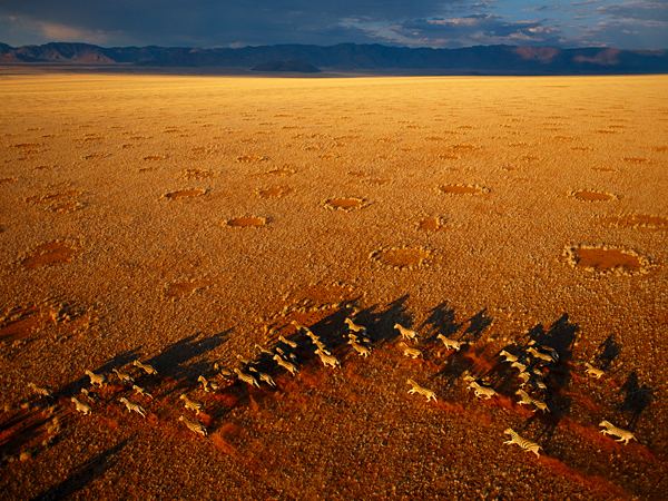 George Steinmetz Photographer George Steinmetz Biography National Geographic