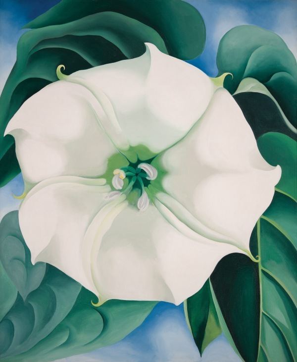 Georgia O'Keeffe Georgia OKeeffe Exhibition at Tate Modern Tate