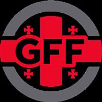 Georgian Football Federation httpsuploadwikimediaorgwikipediacommons99