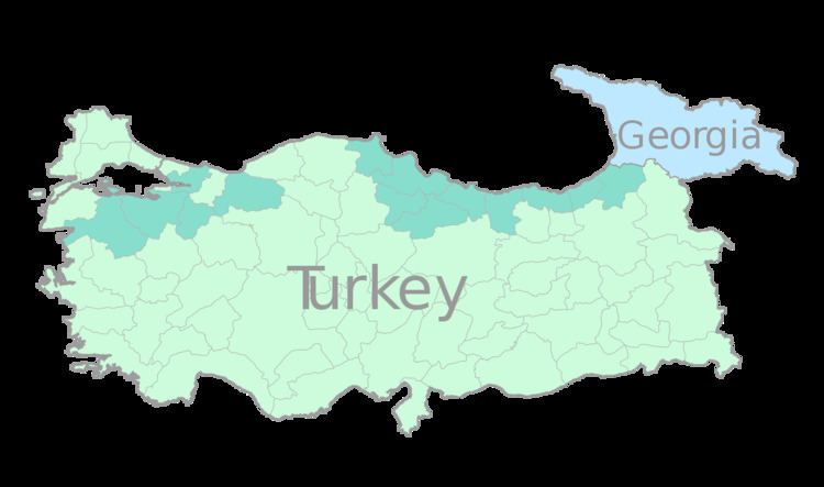 Georgians in Turkey