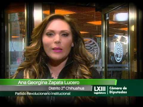 Georgina Zapata Lucero Dip Ana Georgina Zapata Lucero PRI YouTube