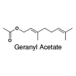 Geranyl acetate Geranyl Acetate Manufacturers Suppliers amp Exporters