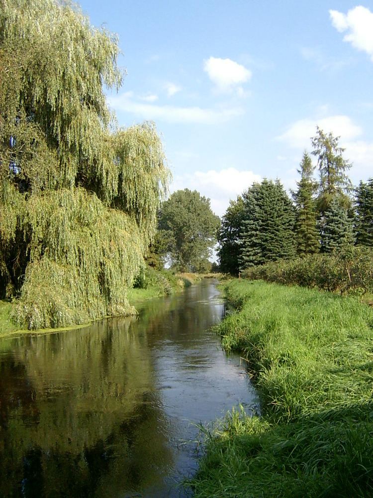 Gerdau (river) httpsuploadwikimediaorgwikipediacommonsaa