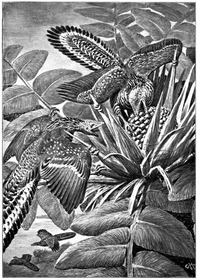 Gerhard Heilmann The evolution of Gerhard Heilmann39s Iguanodons Hydrarchos