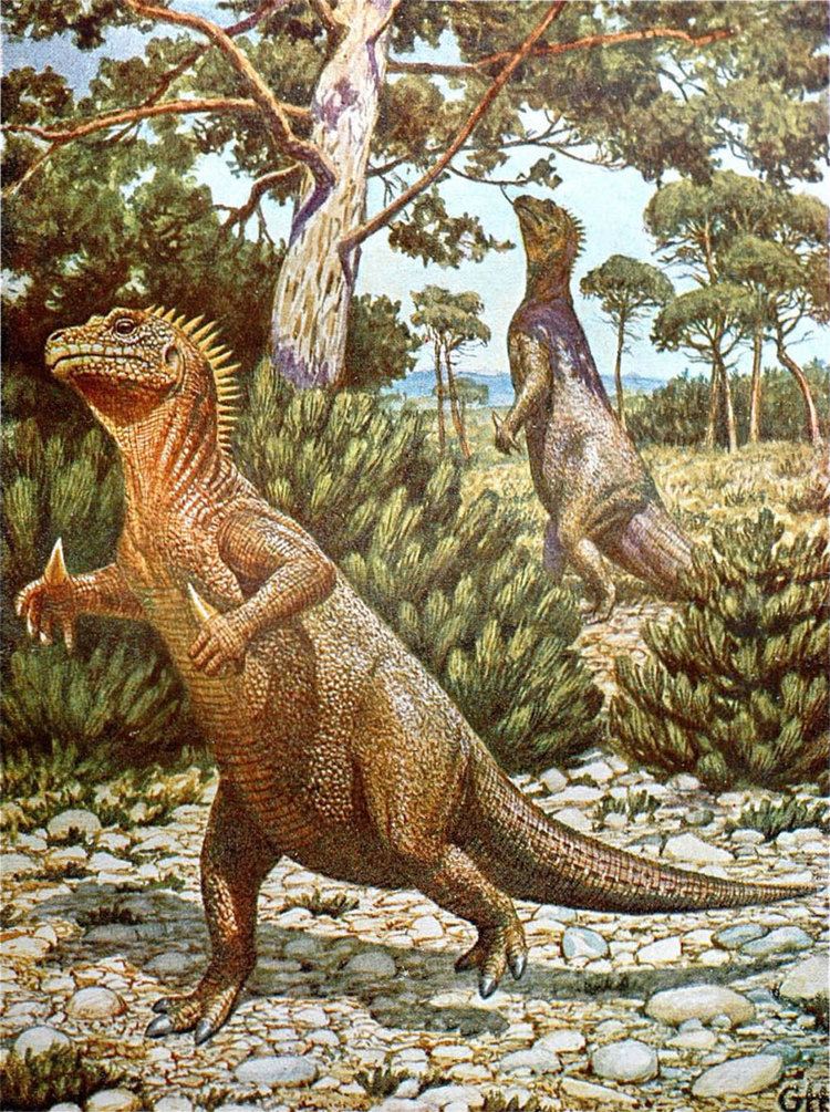 Gerhard Heilmann The evolution of Gerhard Heilmann39s Iguanodons Hydrarchos