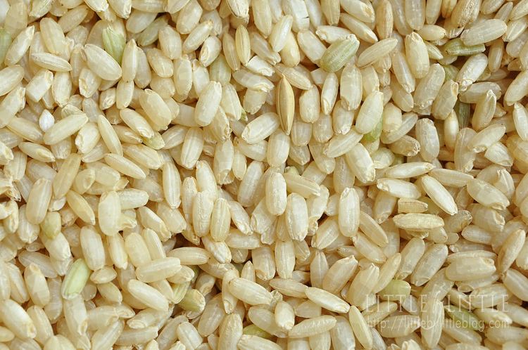 Germinated brown rice germinated brown rice 01logo Little By Little blog