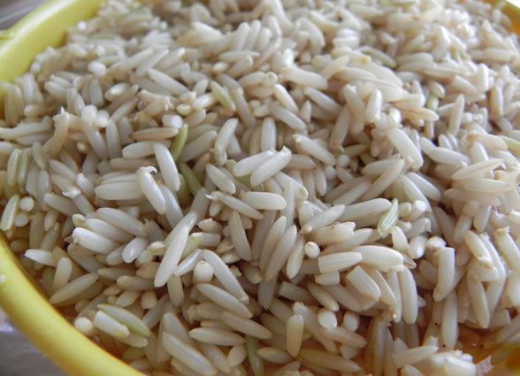 Germinated brown rice Germinated Sprouted Brown Rice Cooking God39s Way