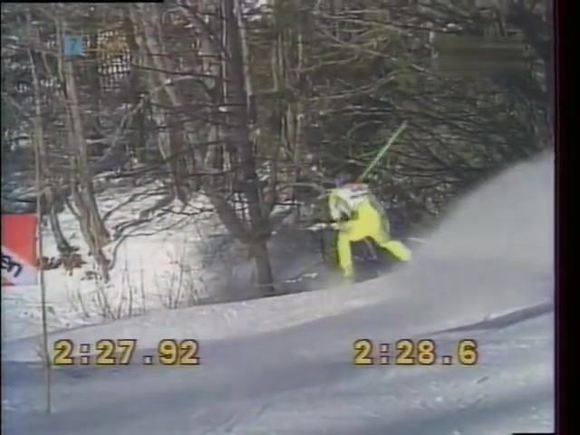 Gernot Reinstadler in a ski race