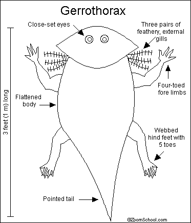 Gerrothorax - Alchetron, The Free Social Encyclopedia