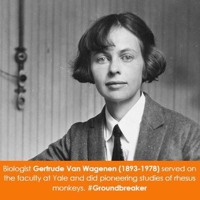 Gertrude Van Wagenen Biologist Gertrude Van Wagenen 18931978 served on the faculty at