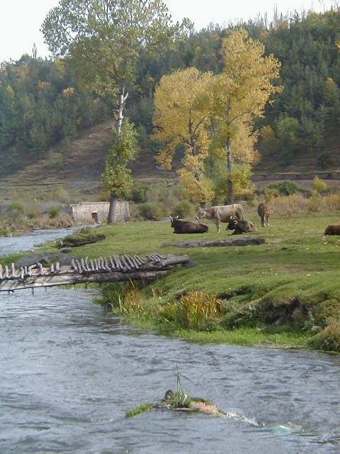 Getik River
