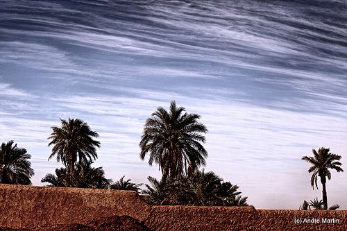 Ghardaia Beautiful Landscapes of Ghardaia