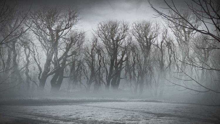 Ghost Trees Ghost Trees by Ferangi on DeviantArt