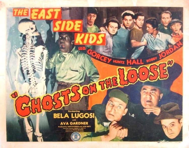 Ghosts on the Loose Black Gate Articles Old Dark House Double Feature V The Cat and