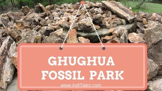 Ghughua Fossil Park Meet Oldest Residents Of India At Ghughua Fossil Park A National Park