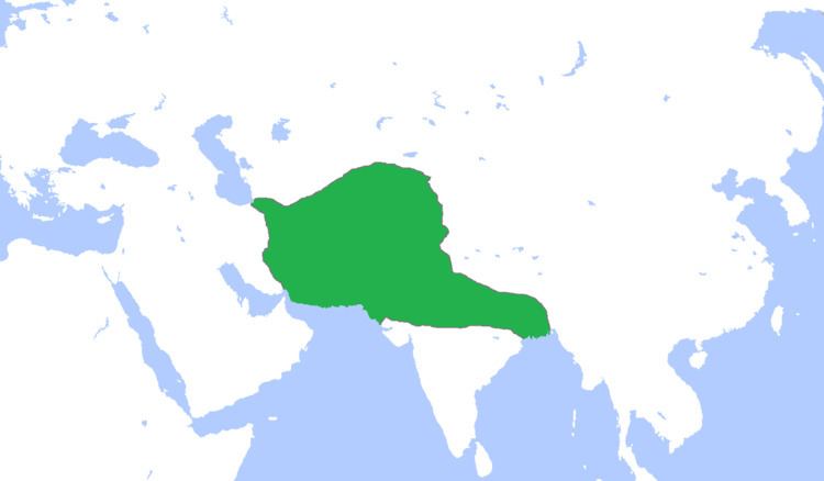 Ghurid dynasty