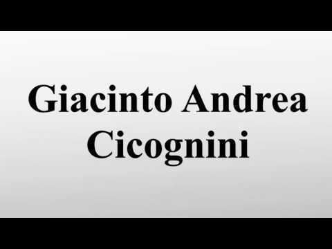 Giacinto Andrea Cicognini Giacinto Andrea Cicognini on Wikinow News Videos Facts