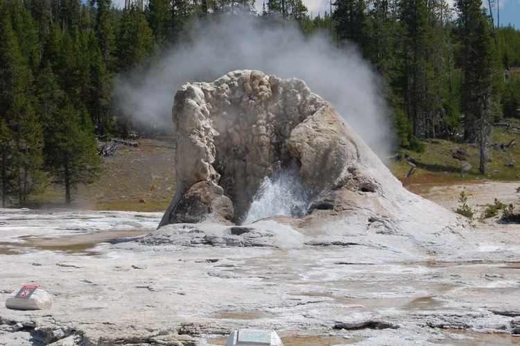 Giant Geyser Upper geyser Basin at Yellowstone