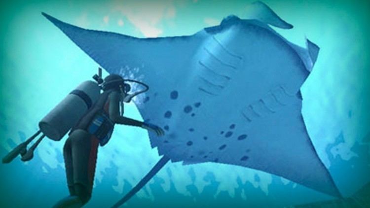 giant oceanic manta ray naval action