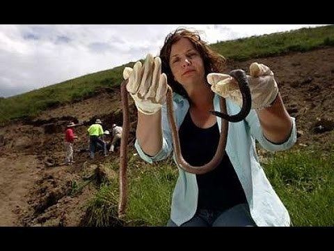 Giant Palouse earthworm Rare Earthworm Discovered YouTube