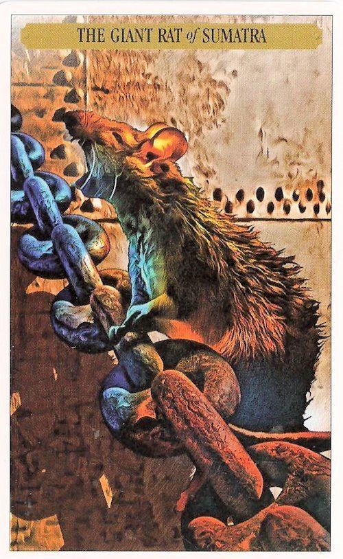 Giant Rat of Sumatra Tarot Notes Sherlock Holmes Card of the Day The Giant Rat of