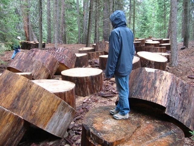 Giant Sequoia National Monument wwwsequoiaforestkeeperorgimagesDFP6webjpg
