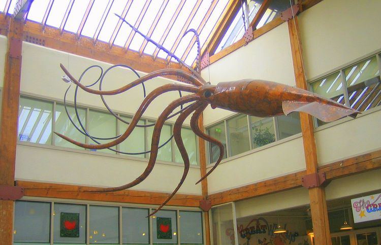 Giant squid in popular culture