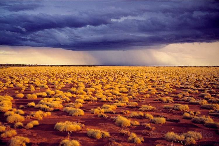 Gibson Desert Outback PhotographicsLandscapesGibson Desert