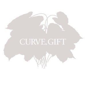 Gift (Curve album) httpsimagesnasslimagesamazoncomimagesI2