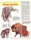 Gigantocamelus Exact matches for 39gigantocamelus39 Look and Learn History Picture