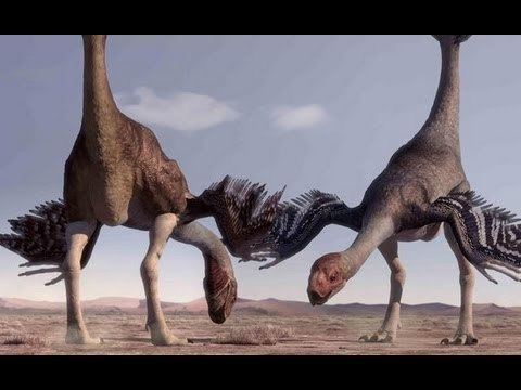 Gigantoraptor Gigantoraptor YouTube