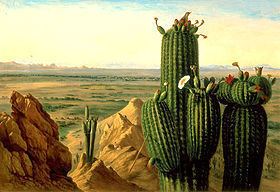 Gila Bend Mountains httpsuploadwikimediaorgwikipediacommonsthu