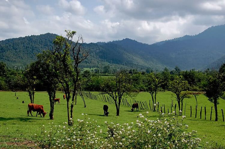 Gilan Province Beautiful Landscapes of Gilan Province